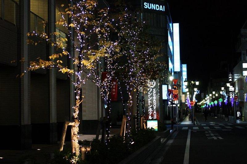 Tachikawa Washington Hotel Zewnętrze zdjęcie